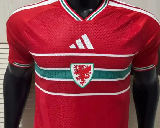 Camisa titular - País de Gales 2026 (copa do mundo) - versão jogador