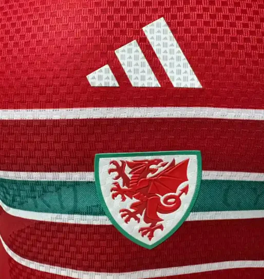 Camisa titular - País de Gales 2026 (copa do mundo) - versão jogador