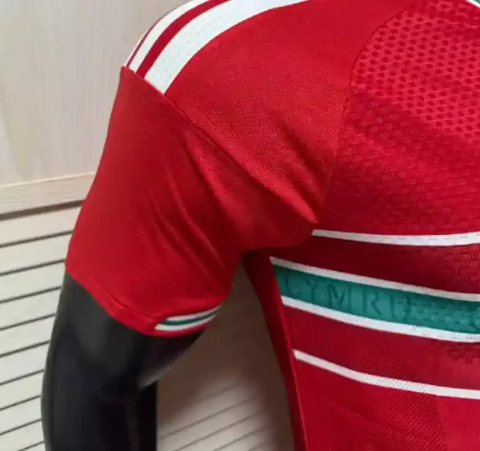 Camisa titular - País de Gales 2026 (copa do mundo) - versão jogador