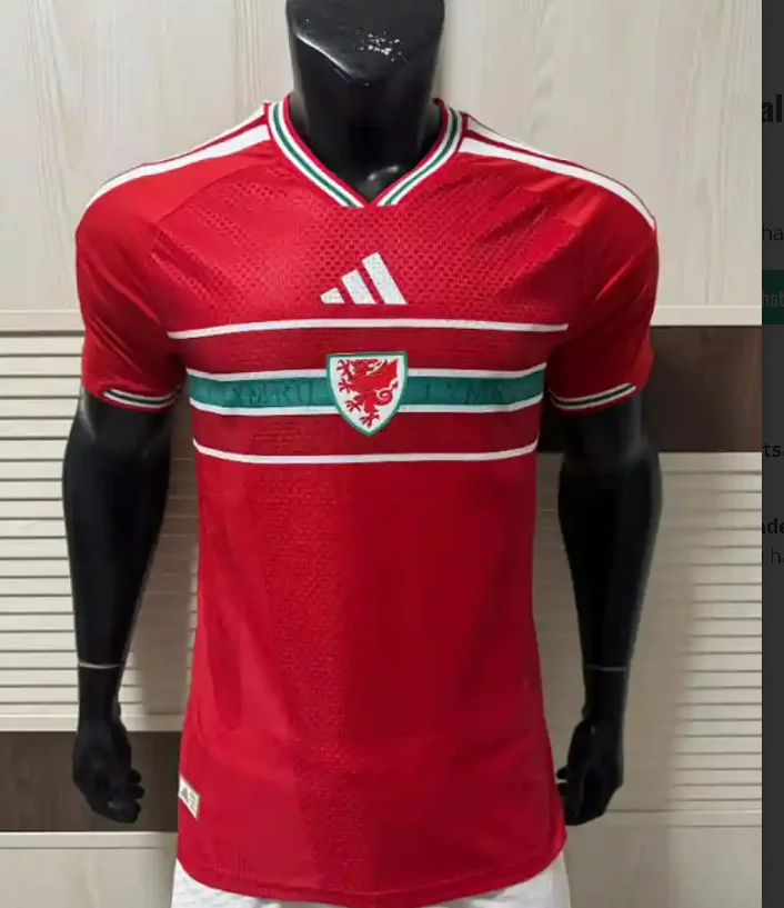 Camisa titular - País de Gales 2026 (copa do mundo) - versão jogador