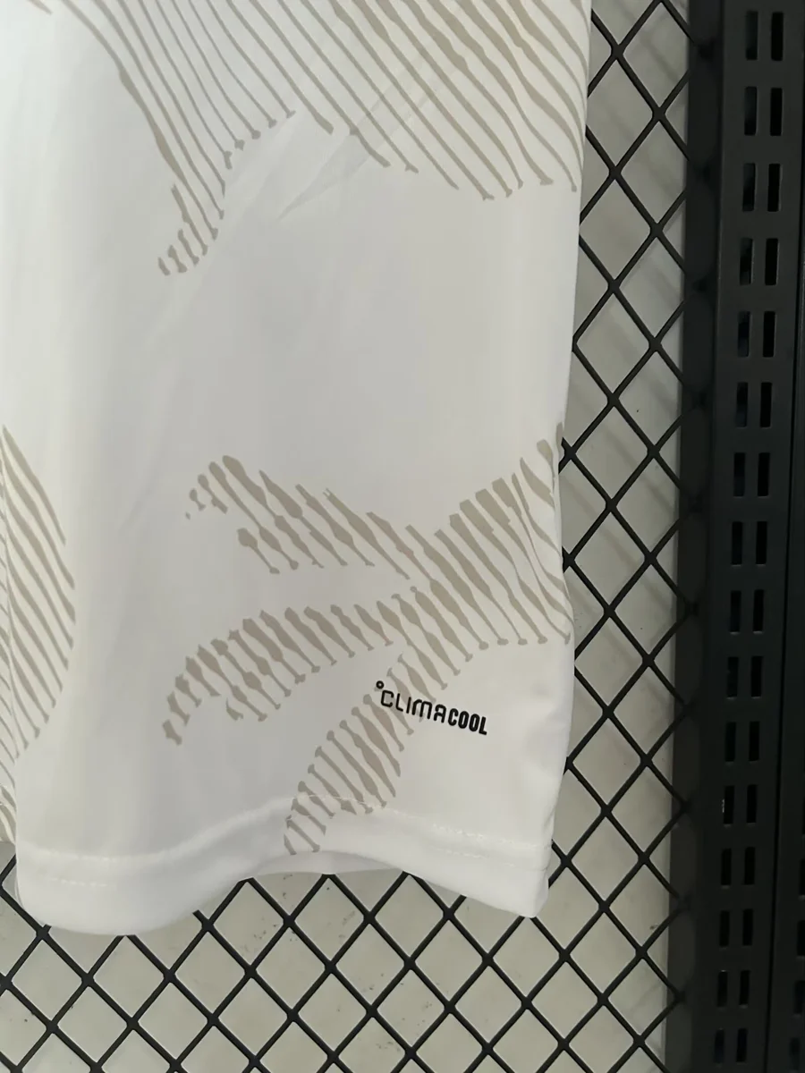 Camisa reserva - País de Gales 2026 (copa do mundo)