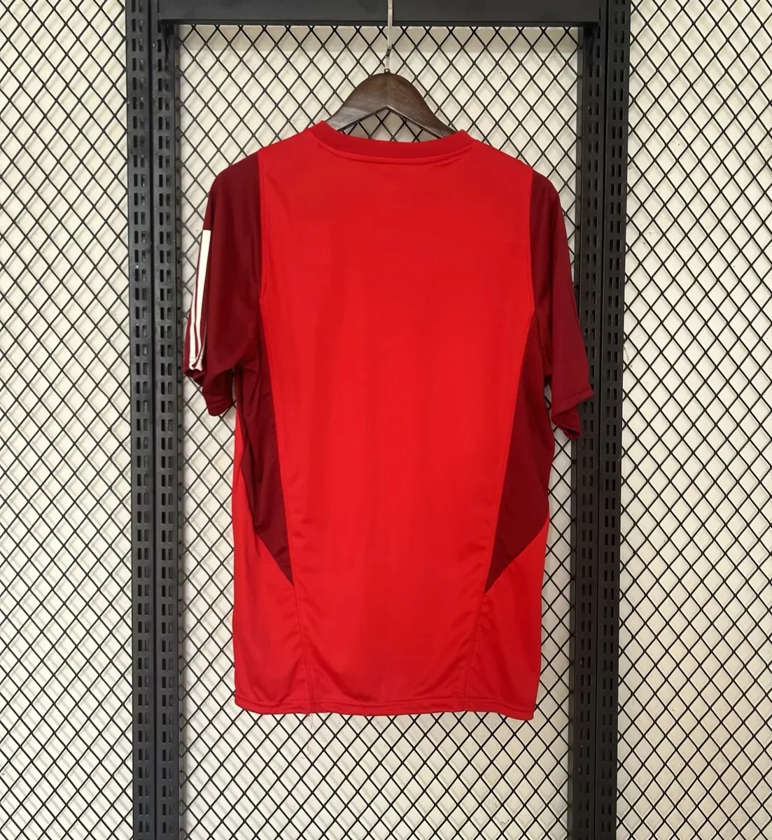 Camisa de treino - Brasil 2024/25 - S a XXL
