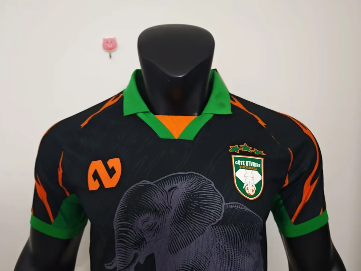 Camisa - Costa do Marfim 2025/26 (edição especial) - versão jogador - S a XXL - foto 2