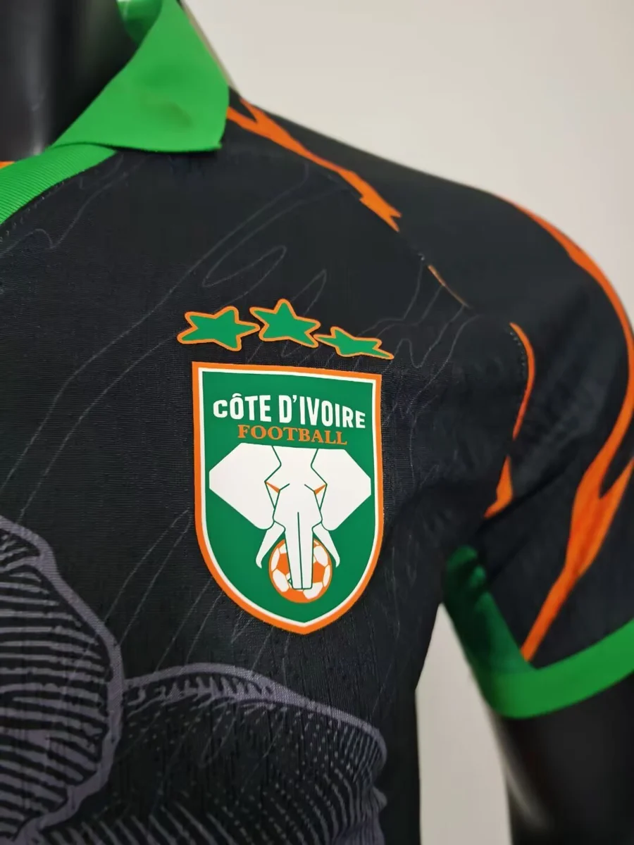 Camisa - Costa do Marfim 2025/26 (edição especial) - versão jogador - S a XXL - foto 3
