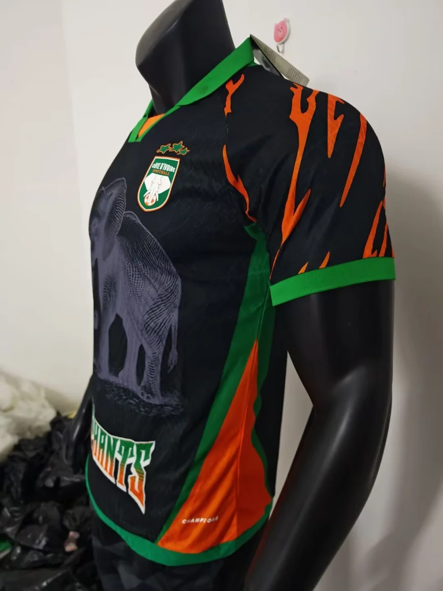 Camisa - Costa do Marfim 2025/26 (edição especial) - versão jogador - S a XXL - foto 6