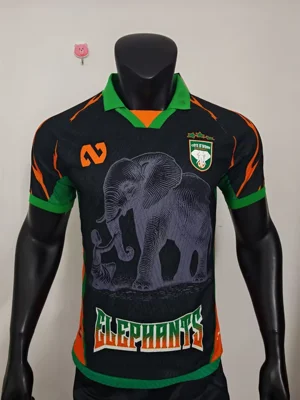 Camisa - Costa do Marfim 2025/26 (edição especial) - versão jogador - S a XXL