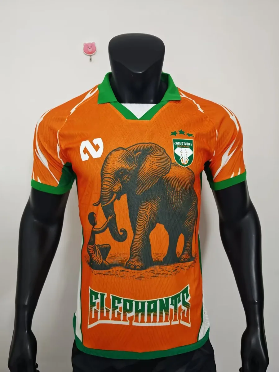 Camisa - Costa do Marfim 2025/26 (edição especial) - versão jogador - S a XXL