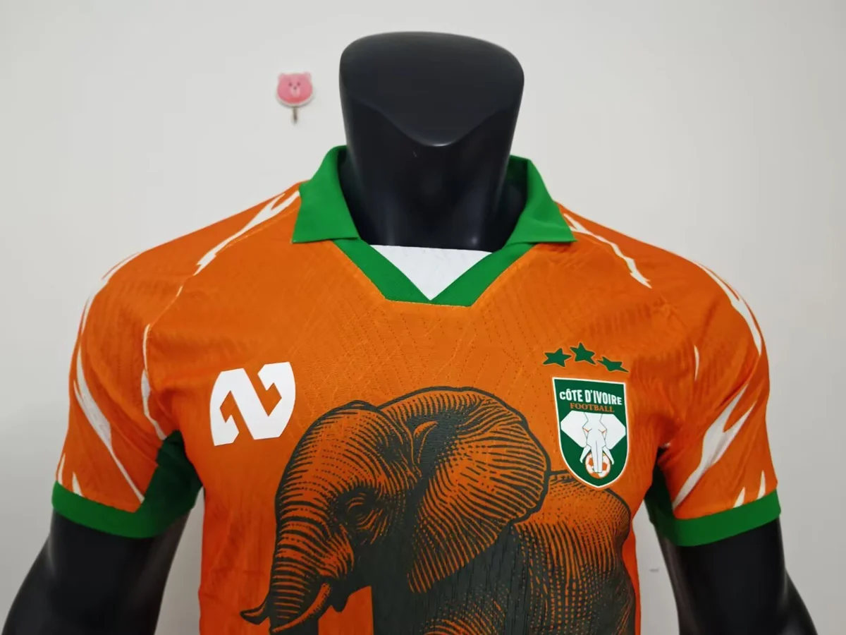 Camisa - Costa do Marfim 2025/26 (edição especial) - versão jogador - S a XXL