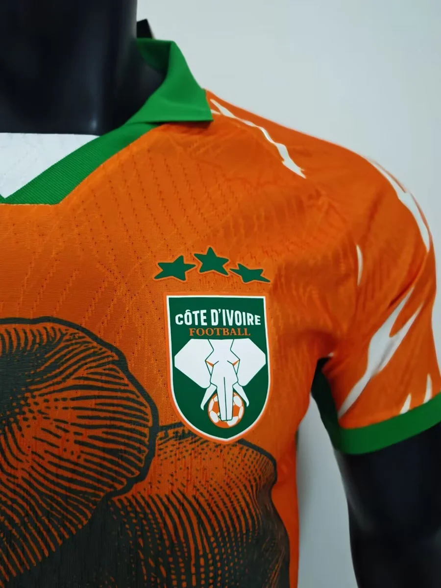 Camisa - Costa do Marfim 2025/26 (edição especial) - versão jogador - S a XXL
