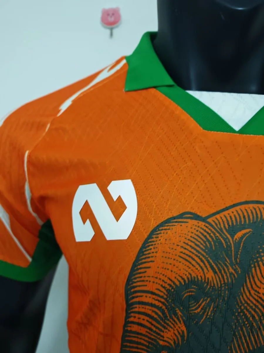 Camisa - Costa do Marfim 2025/26 (edição especial) - versão jogador - S a XXL