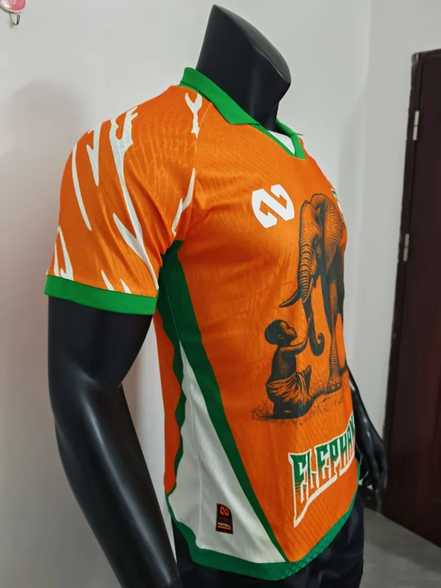 Camisa - Costa do Marfim 2025/26 (edição especial) - versão jogador - S a XXL