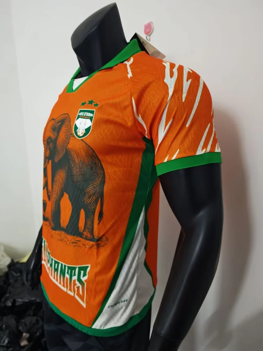 Camisa - Costa do Marfim 2025/26 (edição especial) - versão jogador - S a XXL