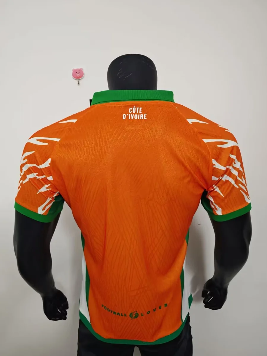 Camisa - Costa do Marfim 2025/26 (edição especial) - versão jogador - S a XXL