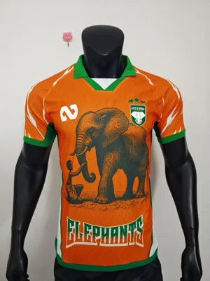 Camisa - Costa do Marfim 2025/26 (edição especial) - versão jogador - S a XXL