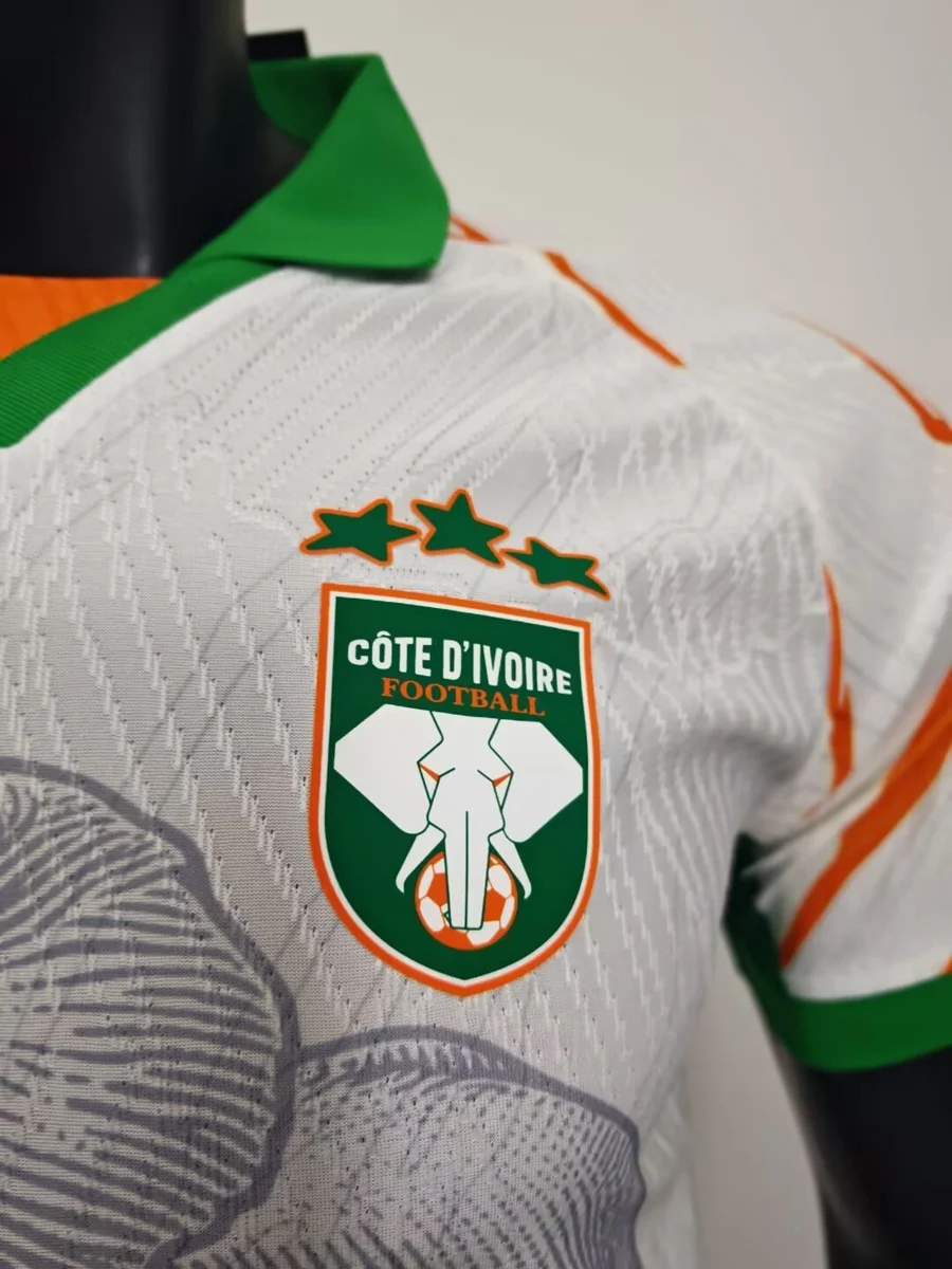 Camisa - Costa do Marfim 2025/26 (edição especial) - versão jogador - S a XXL - foto 3