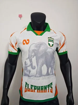 Camisa - Costa do Marfim 2025/26 (edição especial) - versão jogador - S a XXL