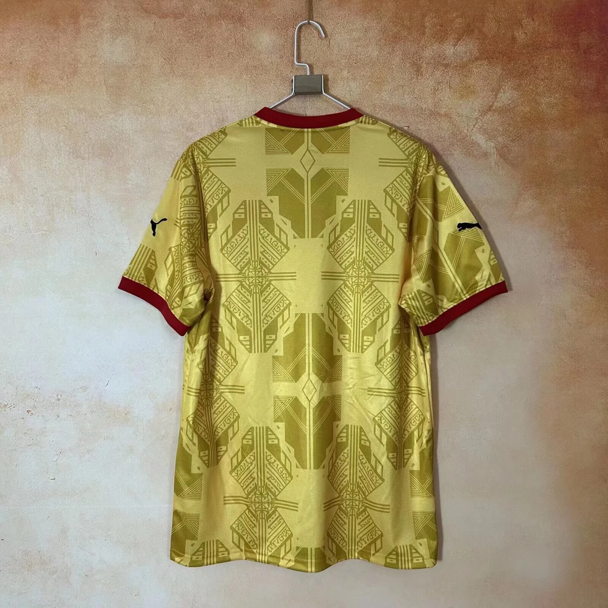 Camisa reserva - Gana 2026/27 - S a XXL