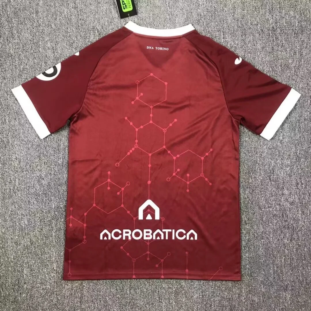 Camisa de treino - Torino 2024/25 - S a XXL